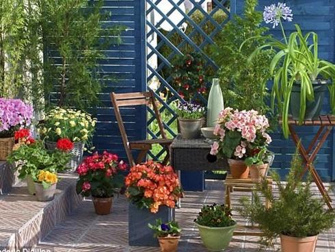 Mở cửa phòng ngủ, nàng dâu tức nghẹn chứng kiến cảnh khó tin