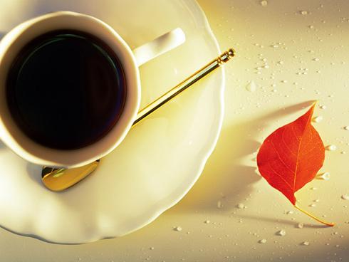 Tử vi thứ Ba ngày 12/6/2018 của 12 cung hoàng đạo