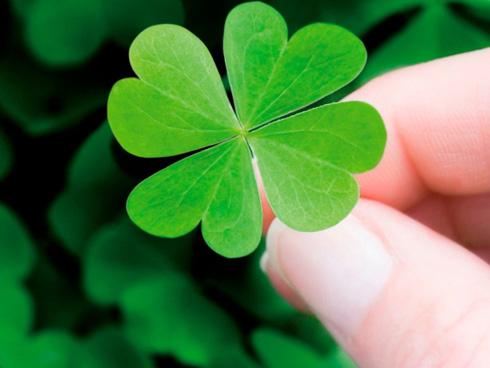 Tử vi tháng 7/2018 của người tuổi Thân