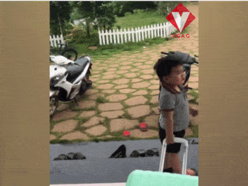 GÓC ĐÁNG YÊU: cậu bé 3 tuổi khệ nệ kéo vali khi bị bố đuổi ra khỏi nhà