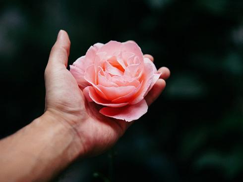 Tử vi thứ Ba ngày 19/6/2018 của 12 cung hoàng đạo