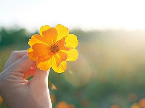 Tử vi thứ 7 ngày 23/6/2018 của 12 con giáp