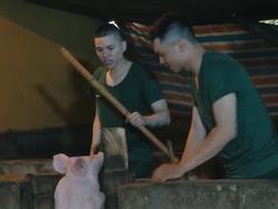Đã quen với vất vả trong quân ngũ, giờ đây Hoàng Tôn còn vui vẻ hỏi lợn: 'Mày hóng hớt cái gì?'