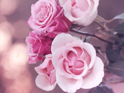 Tử vi thứ Ba ngày 26/6/2018 của 12 cung hoàng đạo