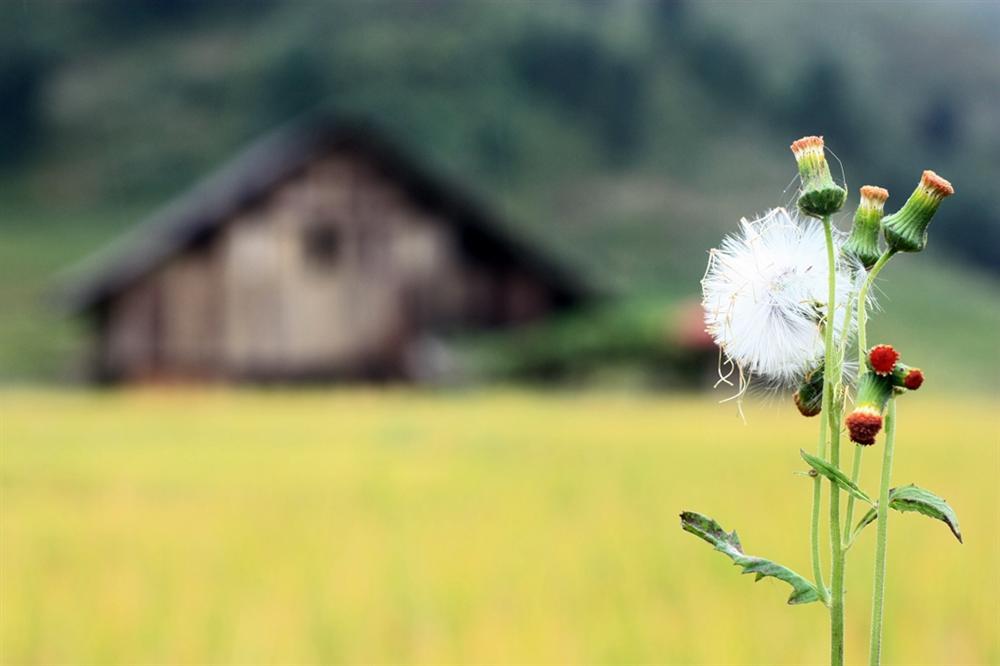 Tử vi thứ Sáu ngày 29/6/2018 của 12 cung hoàng đạo-5