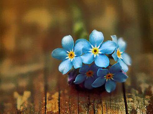 Tử vi thứ 7 ngày 30/6/2018 của 12 con giáp