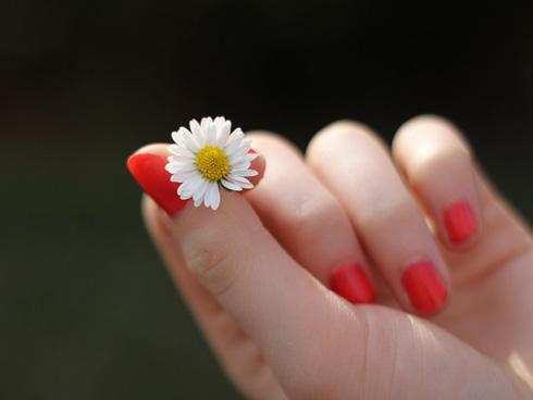 Tử vi tuần mới của 12 con giáp từ ngày 2/7 đến 8/7/2018