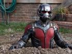 Dàn diễn viên hùng hậu trong ‘Người Kiến & Chiến binh Ong’ của Marvel