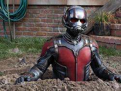 Dàn diễn viên hùng hậu trong ‘Người Kiến & Chiến binh Ong’ của Marvel