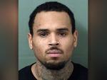 Chris Brown lại bị bắt vì hành hung người vô tội