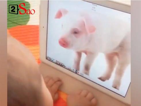 Màn dạy con bá đạo nhất quả đất