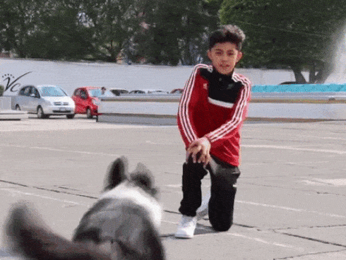 Những thú cưng siêu lầy khiến người xem không thể rời mắt vì quá đáng yêu-1