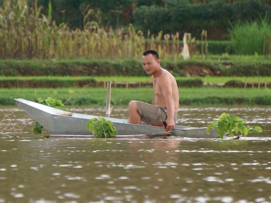 Dân vùng rốn lũ leo cây lên nhà