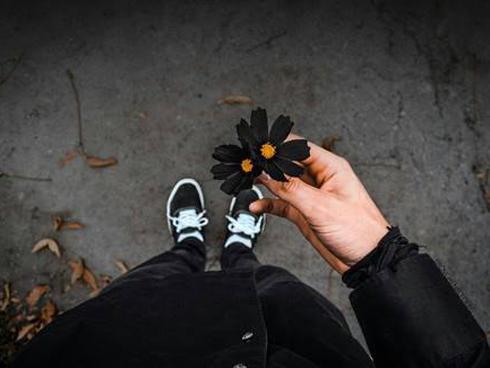 3 con giáp đen đủ đường tuần mới, không thể không cố gắng