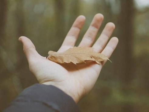 Tuổi Dần tiền bạc 'nặng ví', tuổi Tỵ bi quan cùng cực trong ngày thứ Ba 24/7/2018