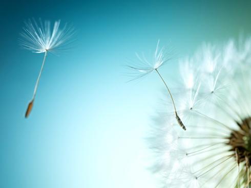 Tuổi Thân chính thức thoát 'kiếp FA', tuổi Thìn tiền bạc rủng rỉnh nhất trong 12 con giáp ngày thứ Sáu 27/7/2018