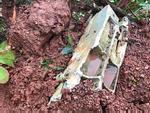 Tìm thấy hộp đen máy bay Su-22U gặp nạn ở Nghệ An