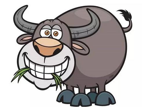 Tử vi tháng 8/2018 người tuổi Sửu