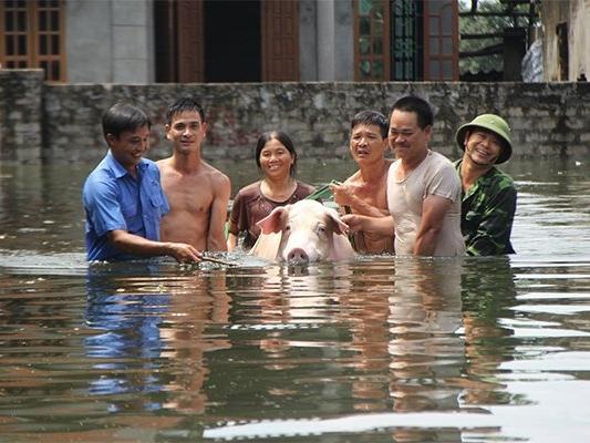 Áp thấp nhiệt đới gây mưa lớn ở Bắc Bộ, Bắc Trung Bộ-3