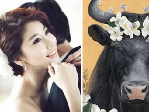 Tuổi Tỵ lao đao vì tình, tuổi Mão liên tiếp gặt hái thành công trong tháng 8/2018-6