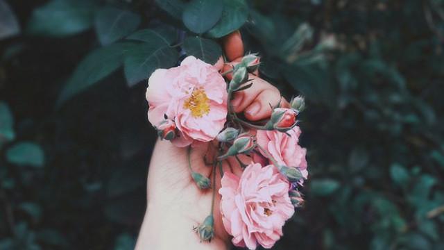 Có bao nhiêu người đi qua thương nhớ mà quên được nhau?-1