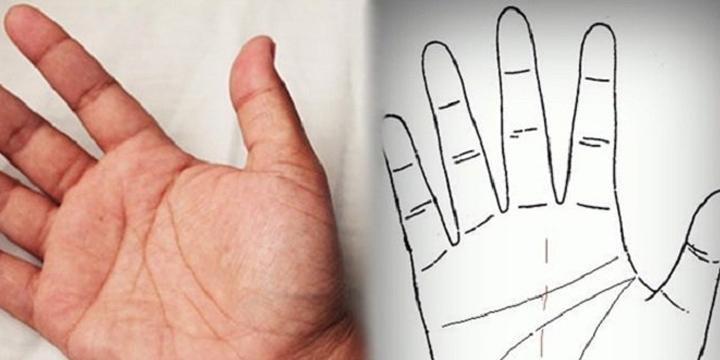 So sánh chiều dài của ngón đeo nhẫn và ngón trỏ để biết tất tần tật về tính cách và khả năng của bạn-2