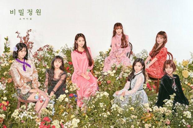 Hot: 4 thành viên Oh My Girl gặp tai nạn, fan như ‘ngồi trên đống lửa’-3