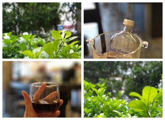 Chinh phục mọi cơ hội - tuyên ngôn thành công của giới trẻ-3