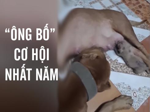 'Ông bố' cơ hội nhất quả đất