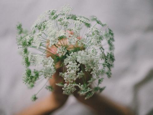 Thứ 7 (4/8/2018) Bảo Bình làm gì cũng tốt, Ma Kết lại gặp lắm thị phi