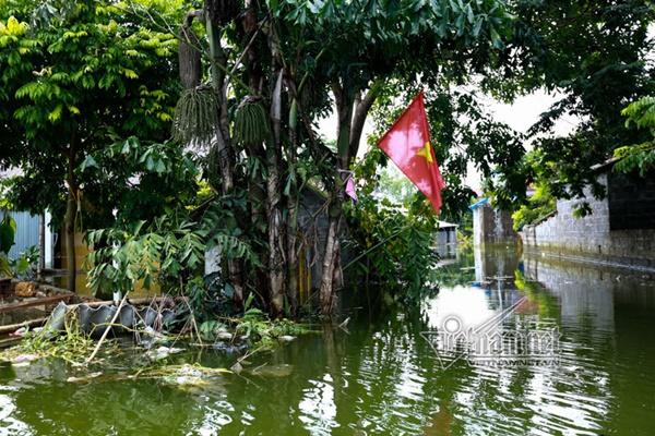 Lụt ở Chương Mỹ: Khốn đốn rác tràn vào nhà, vớt mỏi tay không hết-9