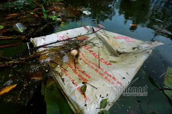 Lụt ở Chương Mỹ: Khốn đốn rác tràn vào nhà, vớt mỏi tay không hết-15