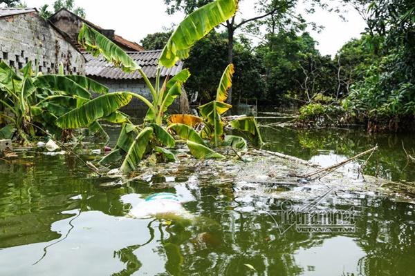 Lụt ở Chương Mỹ: Khốn đốn rác tràn vào nhà, vớt mỏi tay không hết-16