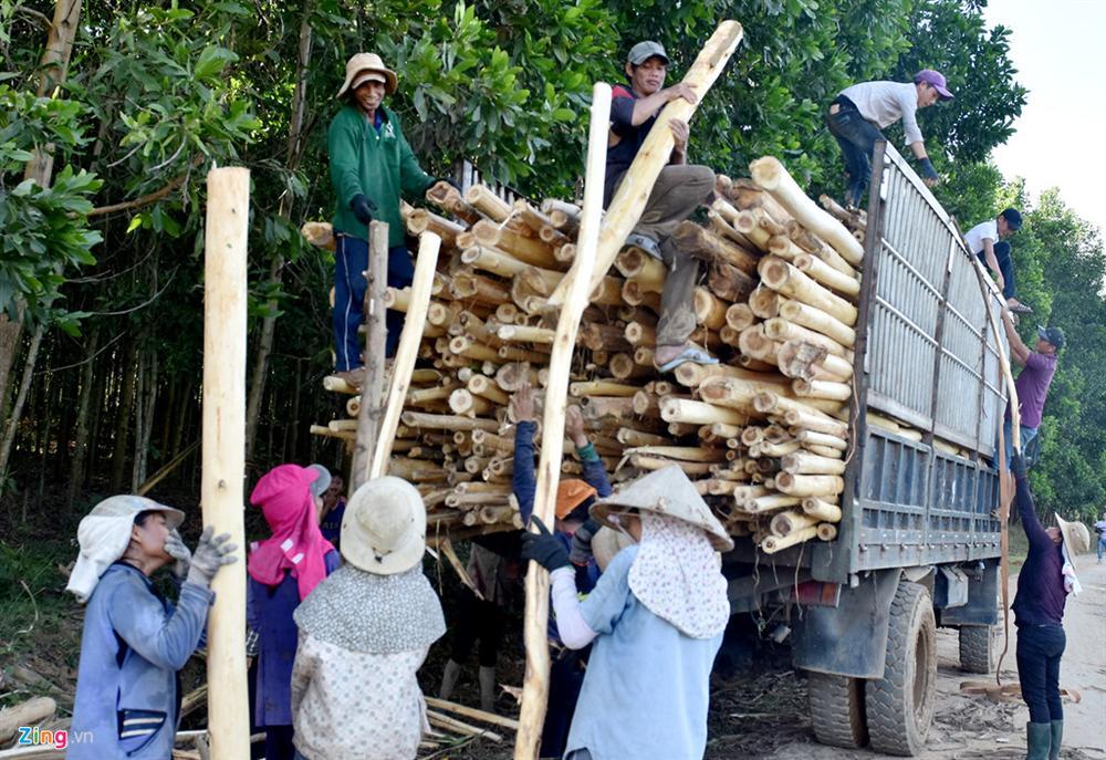 Người mẹ 10 lần vượt cạn tại nhà-3