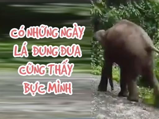 Có những ngày nhìn cái gì cũng thấy khó ở-1