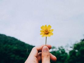 Tuần mới (06/8-12/8/2018) đầy biến động của 12 con giáp: Tuổi Thân công thành danh toại, tuổi Ngọ nhân duyên hài hòa Tuần mới (06/8-12/8/2018) đầy biến động của 12 con giáp: Tuổi Thân công thành danh toại, tuổi Ngọ nhân duyên hài hòa