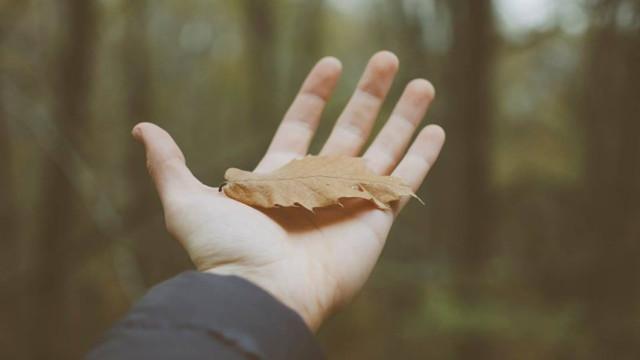 Tuần mới, 3 con giáp này cứ vô tư mà hốt tiền, đợi vận may đi nhé-1