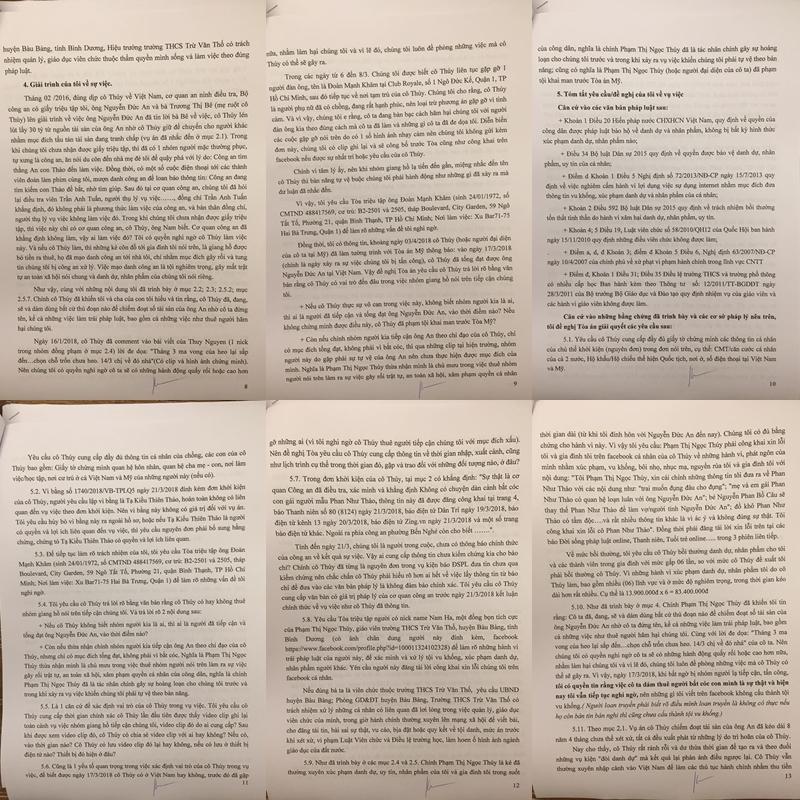 Bị report đơn phản tố Ngọc Thúy, người mẫu Phan Như Thảo bức xúc: Sao ai đó cứ phải điên cuồng lên thế?-7