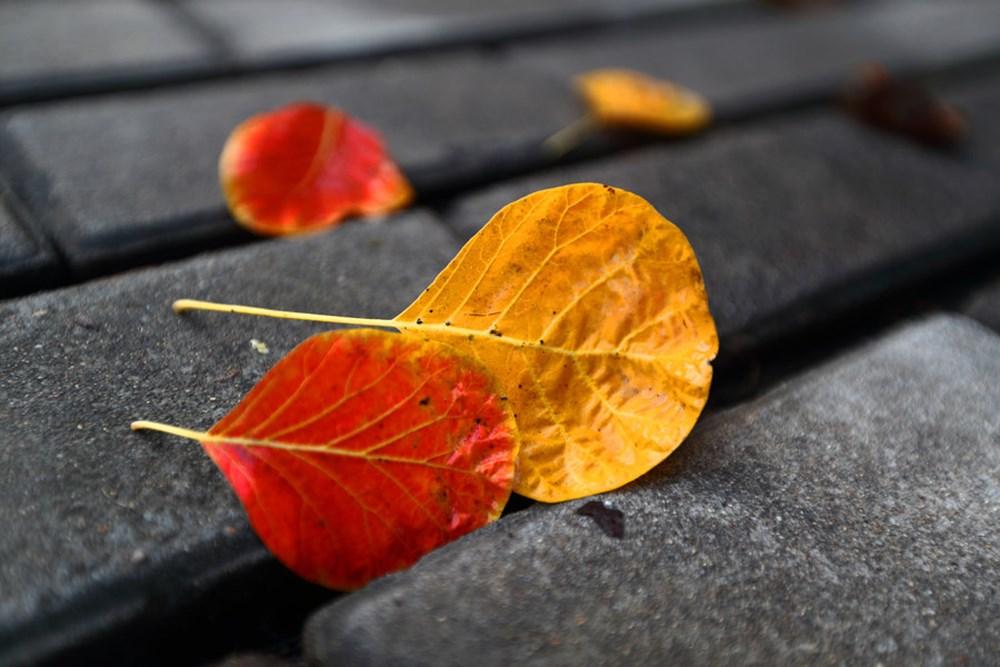 Song Ngư trọn vẹn niềm vui, Bảo Bình lại ghen tuông thái quá trong ngày 7/8/2018-1