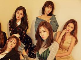 MBK bị từ chối sử dụng độc quyền thương hiệu T-ara: Quá nhiều cơ hội để T6 sớm trở lại! MBK bị từ chối sử dụng độc quyền thương hiệu T-ara: Quá nhiều cơ hội để T6 sớm trở lại!