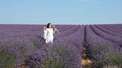 'Lịm tim' trước cánh đồng hoa oải hương đẹp không góc chết ở Pháp