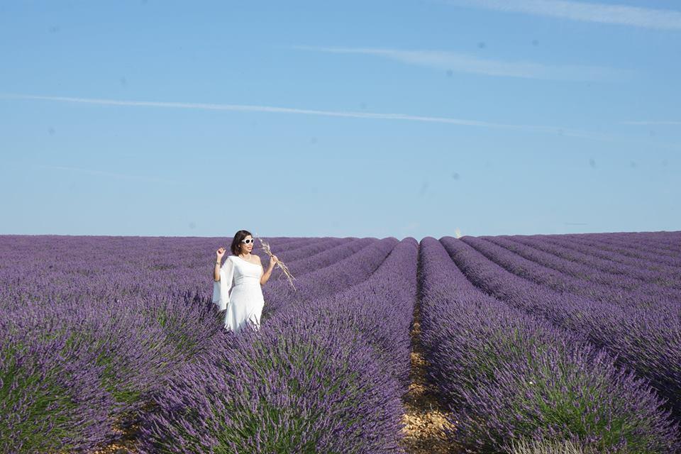 Lịm tim trước cánh đồng hoa oải hương đẹp không góc chết ở Pháp-3