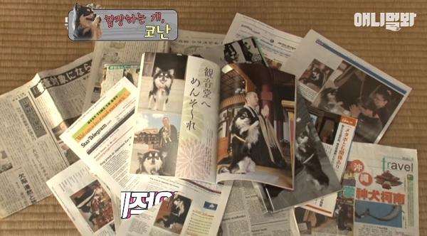 Chắp chân cầu nguyện trước tượng Phật mỗi ngày, chú chó Hàn Quốc nổi tiếng thế giới-4