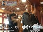 Chắp chân cầu nguyện trước tượng Phật mỗi ngày, chú chó Hàn Quốc nổi tiếng thế giới
