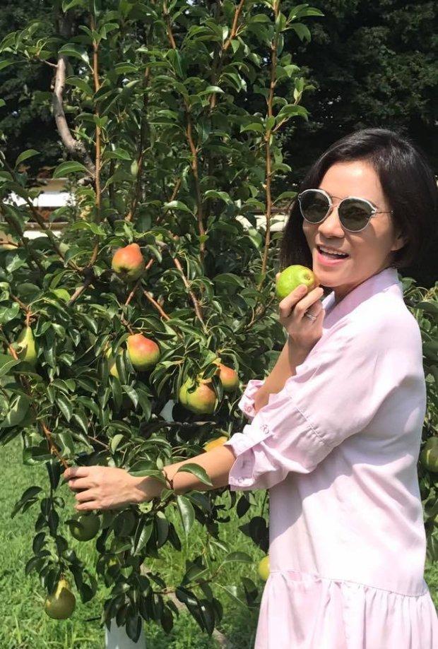 Thu Minh khoe ảnh cùng gia đình đi du lịch khiến nhiều người phải ghen tị-3