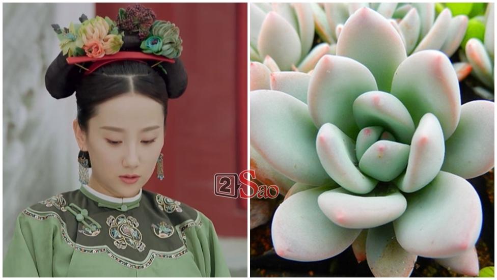 Chưa hết tranh cãi về tạo hình cổ trang, cộng đồng mạng chế tơi bời các kiểu tóc trong Diên Hi Công Lược-3