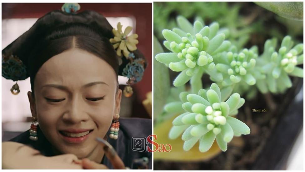 Chưa hết tranh cãi về tạo hình cổ trang, cộng đồng mạng chế tơi bời các kiểu tóc trong Diên Hi Công Lược-6