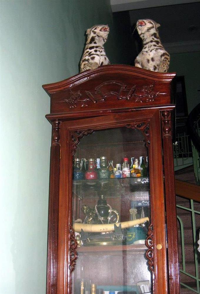 Quá khứ không ngờ của Vân Dung, Chiến Thắng, Quang Thắng trước khi thành đại gia-15