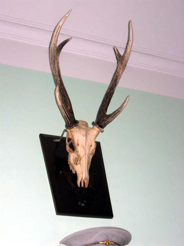 Quá khứ không ngờ của Vân Dung, Chiến Thắng, Quang Thắng trước khi thành đại gia-16