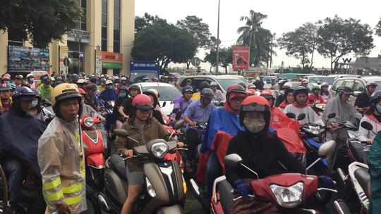 Gió quật ngã cây xanh ở Công trường Mê Linh, đè bị thương 2 người-3